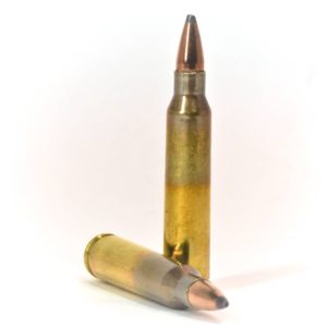 .223 55 gr. SP